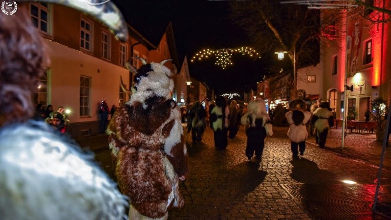 orig_klausen2018_PAlexandrzak_DSC_3957