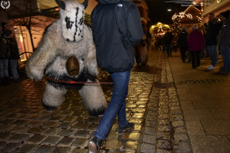 orig_klausen2018_PAlexandrzak_DSC_4064
