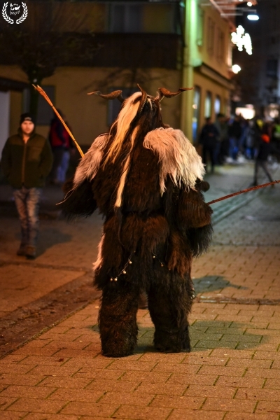orig_klausen2018_PAlexandrzak_DSC_4602