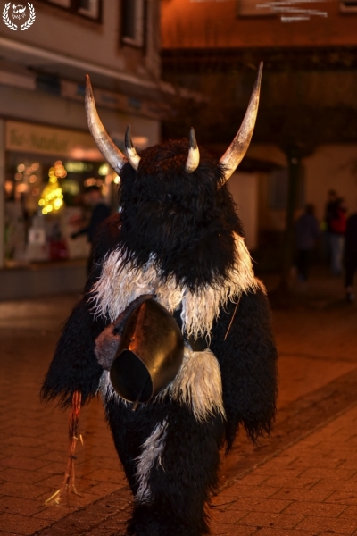 orig_klausen2018_PAlexandrzak_DSC_4730