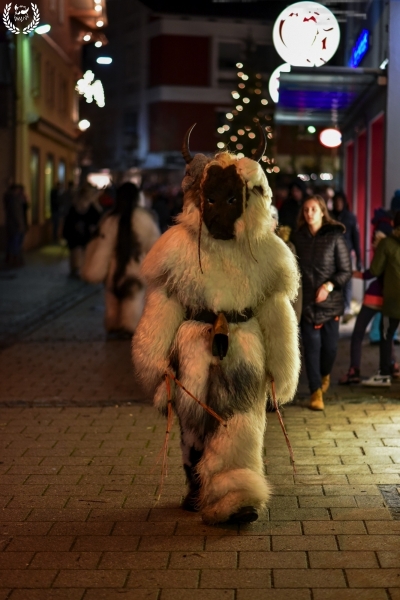 orig_klausen2018_PAlexandrzak_DSC_4737