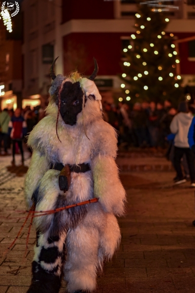 orig_klausen2018_PAlexandrzak_DSC_4903